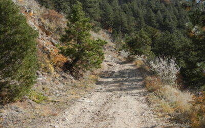 Colorado Off-Road Permitting and OHV Sticker Policies Explained